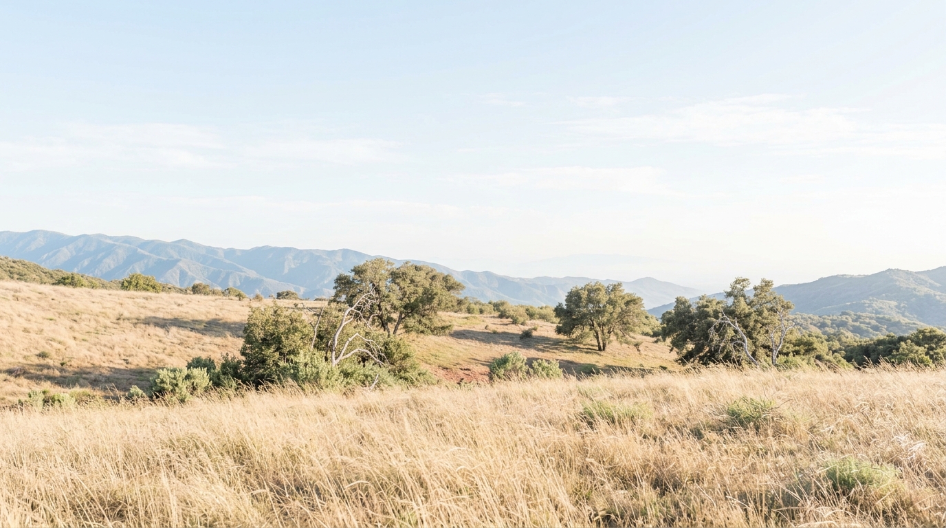Open dry grassland with oak trees and mountain ridges in the distance