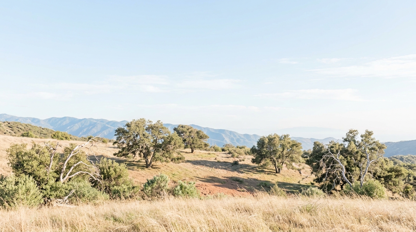 Dry Southern California hillside with oaks and mountains behind